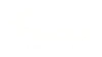 SSEDR